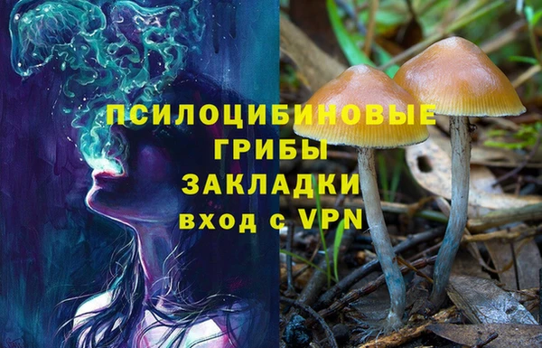 apvp Семилуки