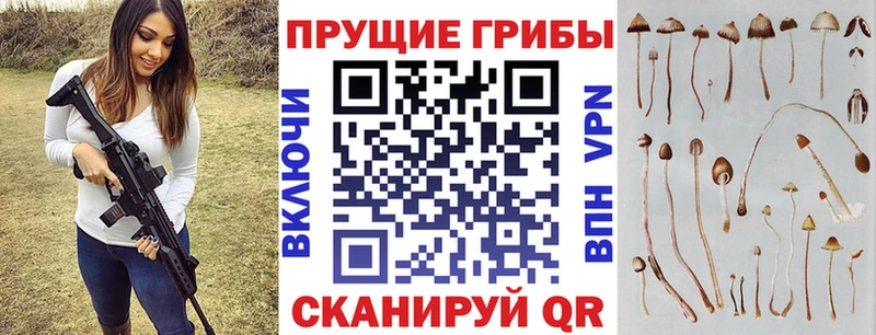 Псилоцибиновые грибы Magic Shrooms  Фролово 